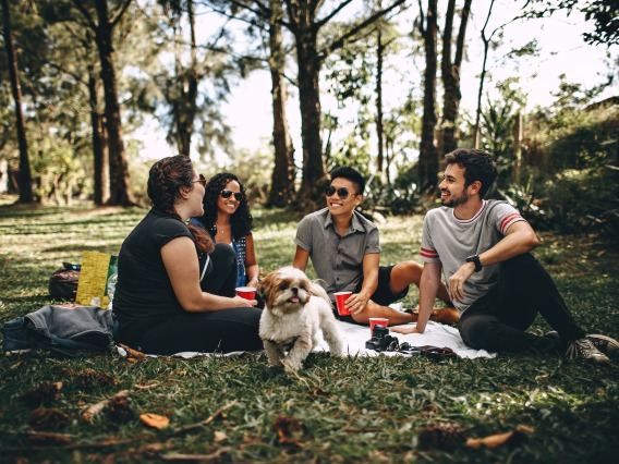 group of people sitting in the grass with a dog