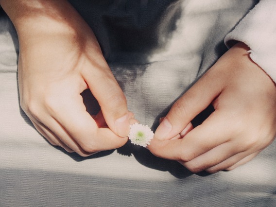 close up of two hands holding a small flower