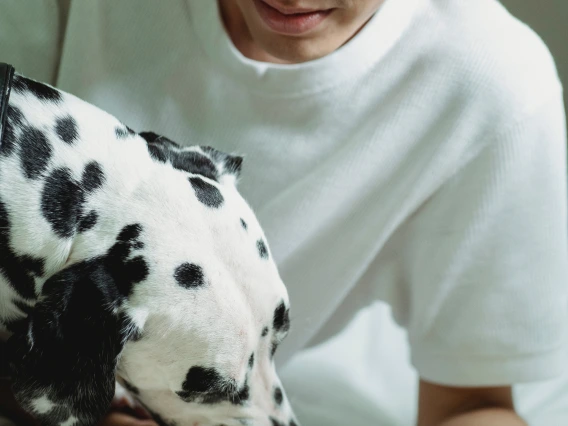 person reading a book and petting a dog