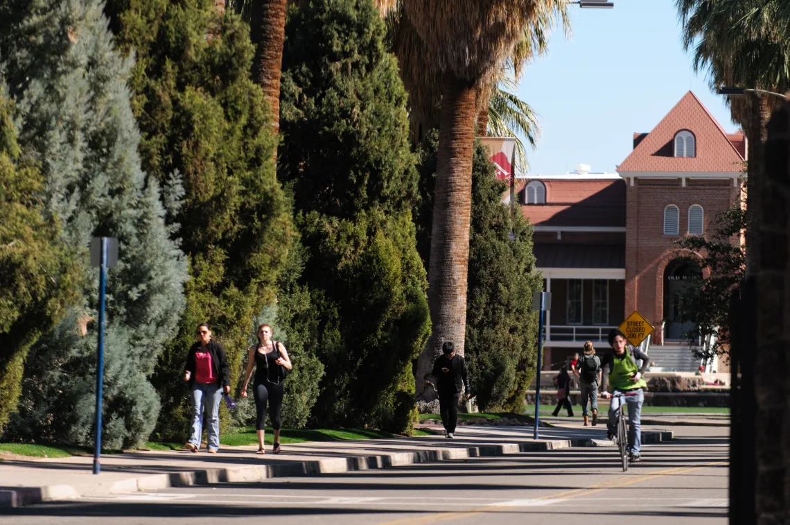 University of Arizona campus