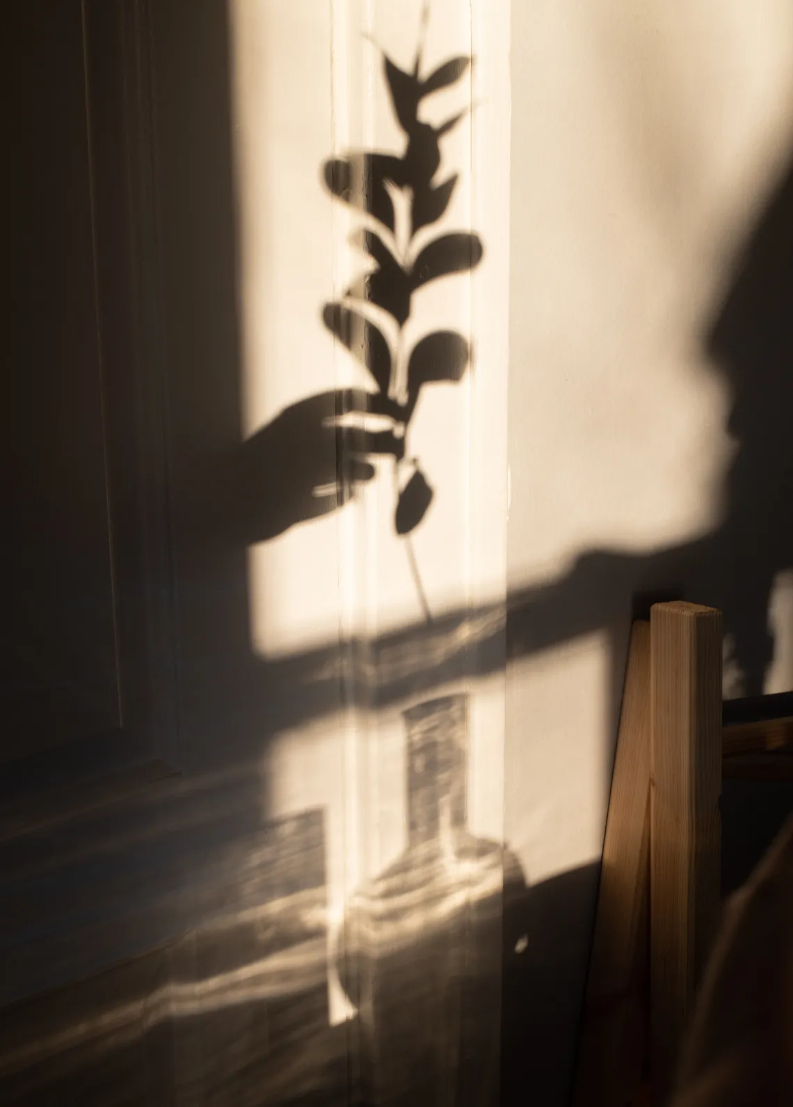 shadow of a person putting a plant into a vase