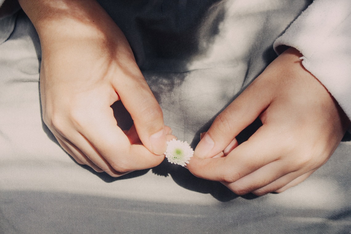 hands holding a small flower over a light grey fabric background