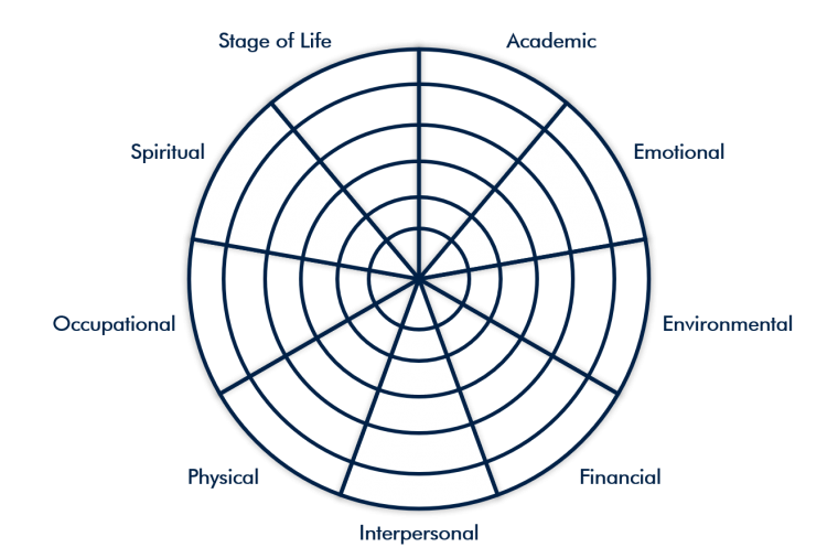 Circle divided into 9 sections with Wellness Doman labels
