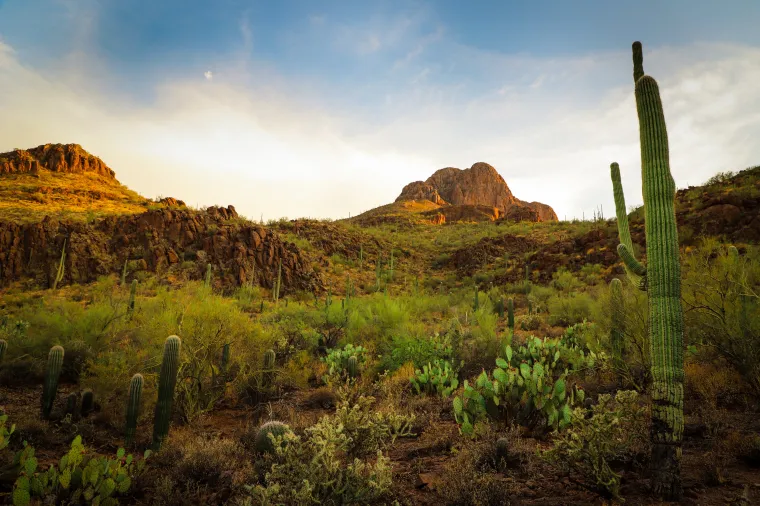 desert landscape with a mountain