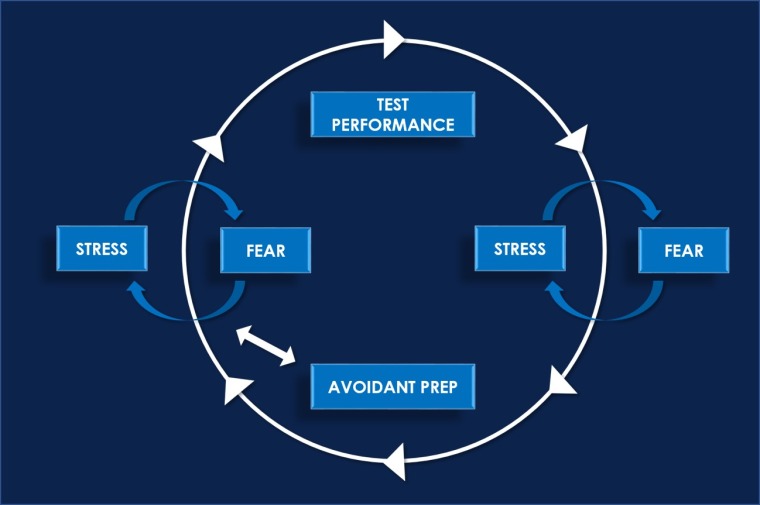 illustration of a circle arrow between test performance, stress, avoidance, and fear