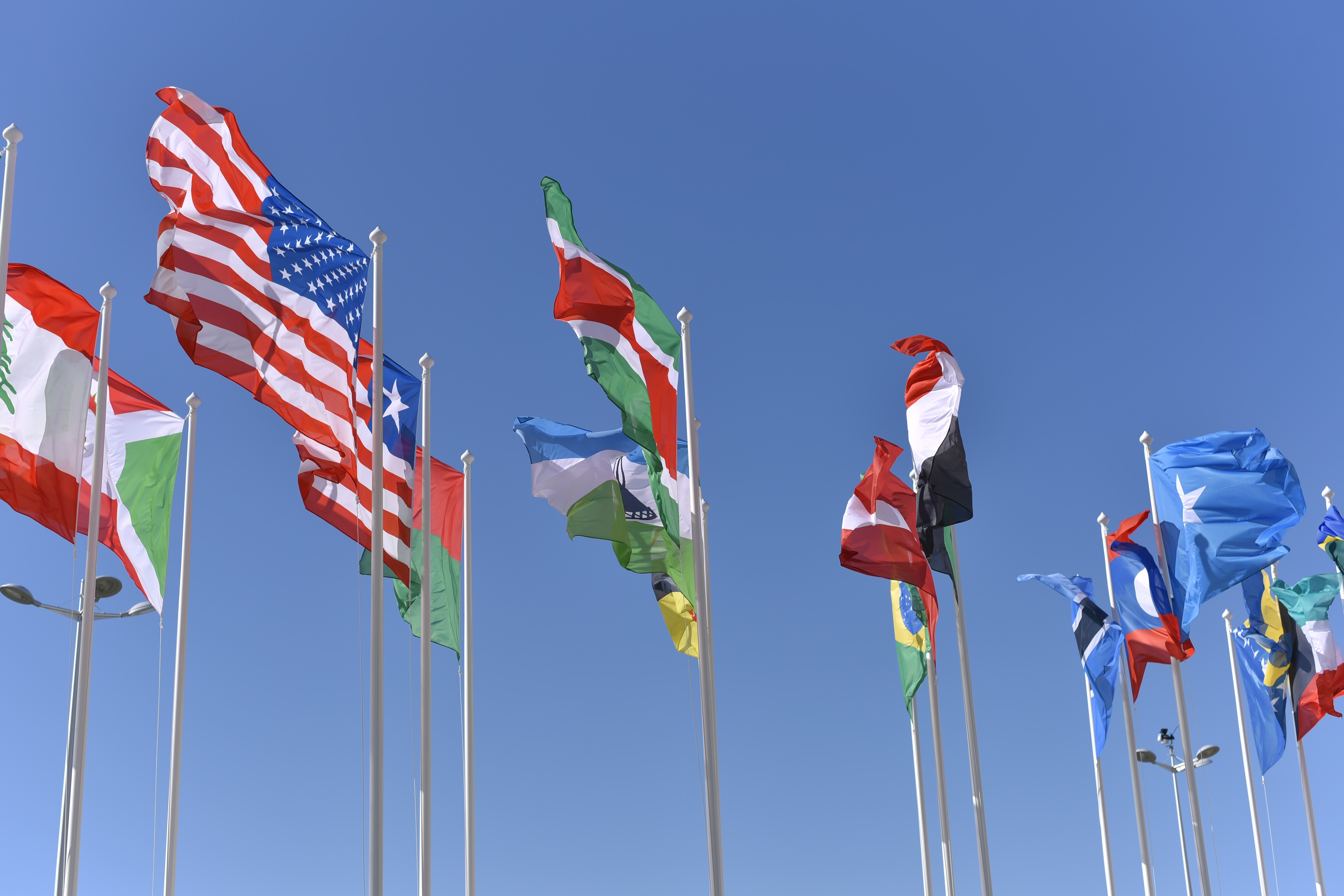 photo of various countries flags