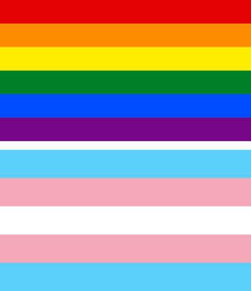 LGBTQ+ rainbow flag and blue pink and white trans flag